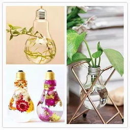 安陽藍天工程與景觀工程的協(xié)同設(shè)計及施工探析