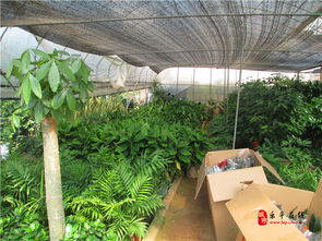 樂(lè)平盛興花藝景觀工程的設(shè)計(jì)與施工