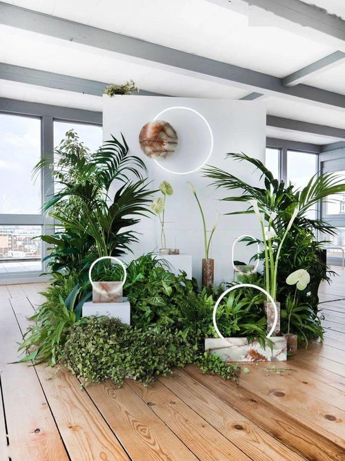 花藝工程中店鋪外包裝的必要性 美學(xué)、品牌與商業(yè)價(jià)值的融合