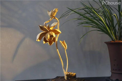 廣州看展靈感 精選軟裝與景觀工程，家居設(shè)計(jì)瞬間提升高級(jí)感